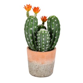 Vickerman Everyday 14" Indoor Green Cactus in Clay Pot - Decoration of Durable Polyester for Arrangements - Maintenance Free