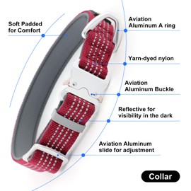 Plutus Pet Reflective Dog Collar with Aviation Aluminum Buckle, Neoprene Padded for Comfort, Lightweight, Heavy Duty Nylon Collar for Puppy Small Medium Large Dogs (Burgundy Red, L)