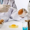 ULTECHNOVO Eggs Light Lamp LED Egg Candler Fertility Test Egg