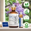 HIQILI 100ML Clove Oil for Teeth and Gums, Tooth Aches,