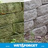 Wet & Forget Outdoor Moss, Mold, Mildew, & Algae Stain