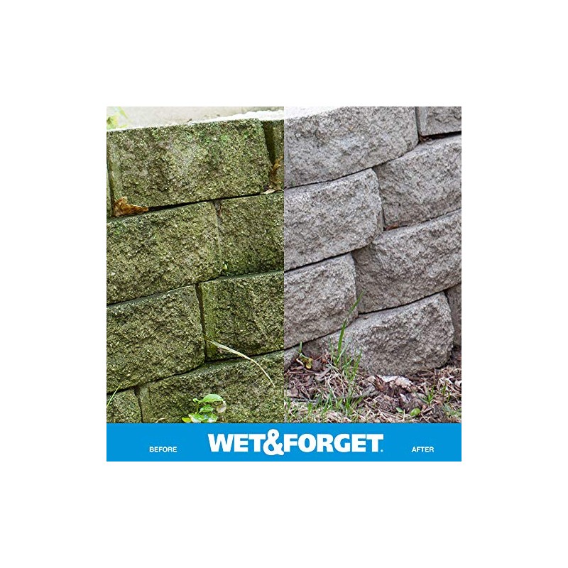 Wet & Forget Outdoor Moss, Mold, Mildew, & Algae Stain