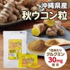 ウコンパワー (袋タイプ) 200mg×3粒× 30包×3袋 沖縄ウコン堂 沖縄県産秋ウコン使用 クルクミン含有 長寿の島・沖縄発のサプリメント