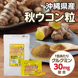 ウコンパワー (袋タイプ) 200mg×3粒× 30包×3袋 沖縄ウコン堂 沖縄県産秋ウコン使用 クルクミン含有 長寿の島・沖縄発のサプリメント