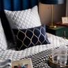 DEZENE Gold Velvet Throw Pillow Covers Navy: 2 Pack 12x20