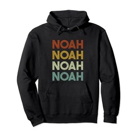Retro Noah Vintage Distressed Style Pullover Hoodie