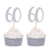 Set of 24 Silver Number 60 60th Birthday Cupcake Toppers