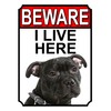 BEWARE I LIVE HERE METAL GATE SIGN AMERICAN STAFFORDSHIRE 200MM