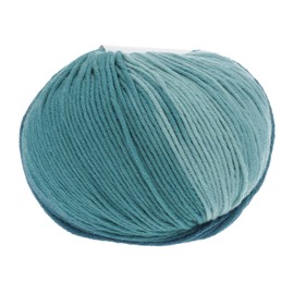 Lang Yarns Merino + Color 0018/100g | Dk Yarn/Wool