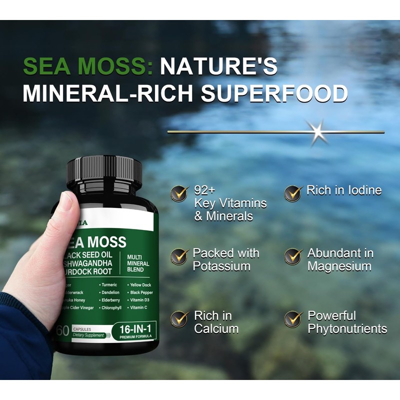 16-in-1 Organic Sea Moss Gel Alternative Capsules – Superfood Blend