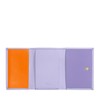 Colorful - Honduras, Provence Lilac