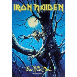 Iron Maiden Fear Of The Dark Live Flag