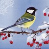 20 Napkins Great Tit on Frosty Branch Bird Animals Christmas