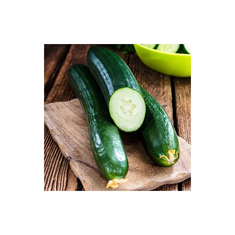 50 Tendergreen Burpless Cucumber Seeds for Planting 1.5+ Grams of