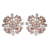 ASHI'S Collection rounded stud ear-ring with exquisite crystal and pearl.