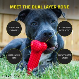 Playology Dual Layer Bone Toy for Small Dogs (up to 15lbs) - Engaging All-Natural Beef Scented Durable Dog Chew Toy for Heavy Chewers - Value 3 Pack - Easy to Clean - Interactive & Non-Toxic