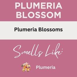 Black Canyon Plumeria Blossom Scented Body Spray, 4 Oz (2 Pack)