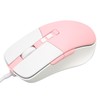 Wired Mouse Ergonomic Streamlined Cool RGB Optical Sensor Gaming Mechanical