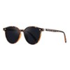 FEISEDY B1102 Polarized Sunglasses, Men's, Stylish, Lightweight, Popular, Driving Fishing