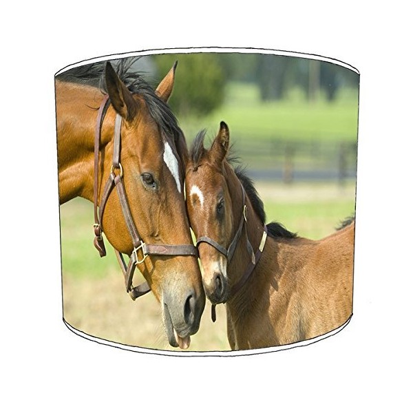 Horse and Foal Lampshade For A Ceiling Light In 3 Sizes - Free Personalisation