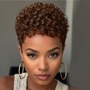 Short Pixie Wig, Auburn Red Brown Synthetic Heat-Resistant Curly Hair,