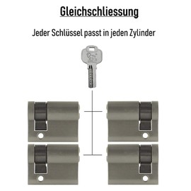 Löwen Sicherheit 4x Half Cylinder 40 mm 30/10 Keyed Alike with 20 Keys Coated Brass