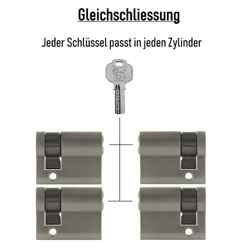 Löwen Sicherheit 4x Half Cylinder 40 mm 30/10 Keyed Alike