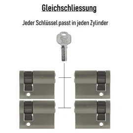 Löwen Sicherheit 4x Half Cylinder 40 mm 30/10 Keyed Alike with 20 Keys Coated Brass