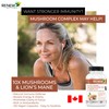 Renew Actives RENEW ACTIVES Mushroom Complex 2 Capsules per Serving
