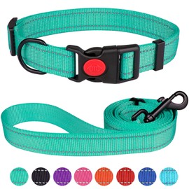 Reflective Dog Collar and Leash Set with Safety Locking Buckle Nylon Pet Collars Adjustable for Small Medium Large Dogs 4 Sizes(Mint Green&M)