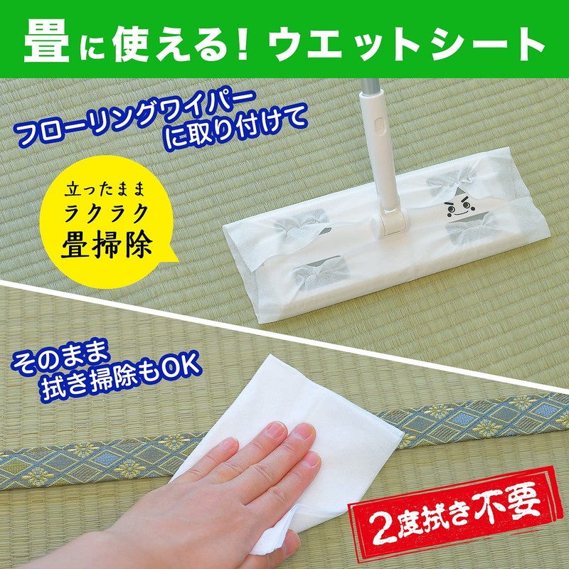LEC Gekochi-kun & Balsan Dust Mite Prevention Plus Tatami Wet