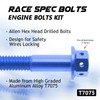 Autobahn88 Motorcycle Engine Bolt Dress-up Kit, compatible with Yamaha FJR