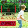 ASPALAND ストライクゾーンターゲットネット ピッチングネット 投球 打撃 野球 ベースボール ソフトボール トレーニング (ブルー)
