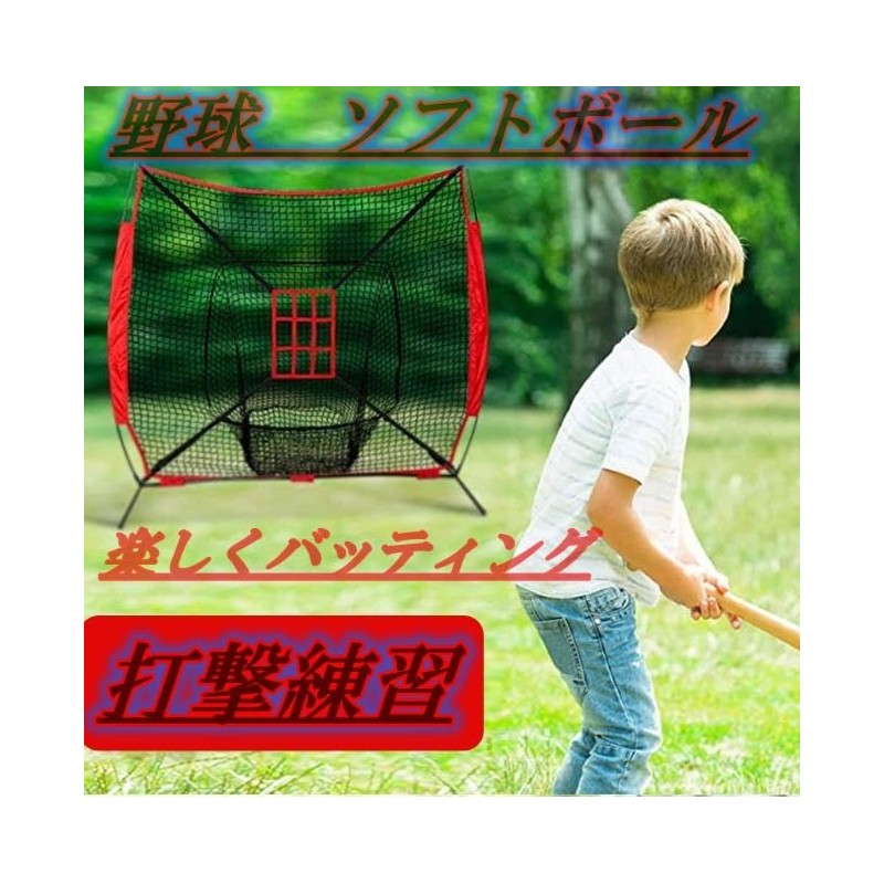 ASPALAND ストライクゾーンターゲットネット ピッチングネット 投球 打撃 野球 ベースボール ソフトボール トレーニング (ブルー)