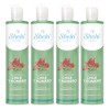 Pack Shampoos Chile Romero 530ml Shelo Nabel