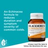 Blackmores Echinacea Forte 40 Tablets