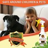 Natural Bug, Insect & Pest Killer & Control Including Fleas,