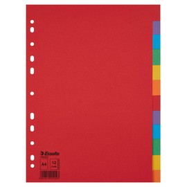 Esselte Leitz Register Karton A4 Multi-Colour 12 tabs multicoloured