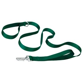 Country Brook Petz - Deluxe Nylon Dog Leash with Traffic Handle and Extra Secure Snap - 30+ Colors (6 Foot, 1 Inch Wide, Green)