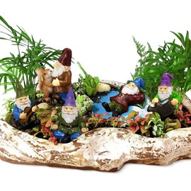 FANWNKI Juego de 5 gnomos en Miniatura de jardín, Regalo de Vida Feliz para decoración de jardín de Hadas al Aire última intervensión