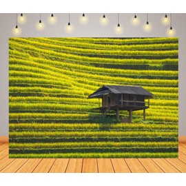 CORFOTO 8x6ft Fabric Green Rice Terraces Backdrop Country Field Landscape Photography Backdrop Vietnam Terraced Rice Field Nature Background Outdoor Travel Photo Studio