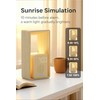 Sunrise Alarm Clock with Wake-Up Light: Dual Alarm Sound Machine