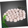 BUGUUYO Aquarium Filter g Quartz Balls Cleaning Kit Bio Media