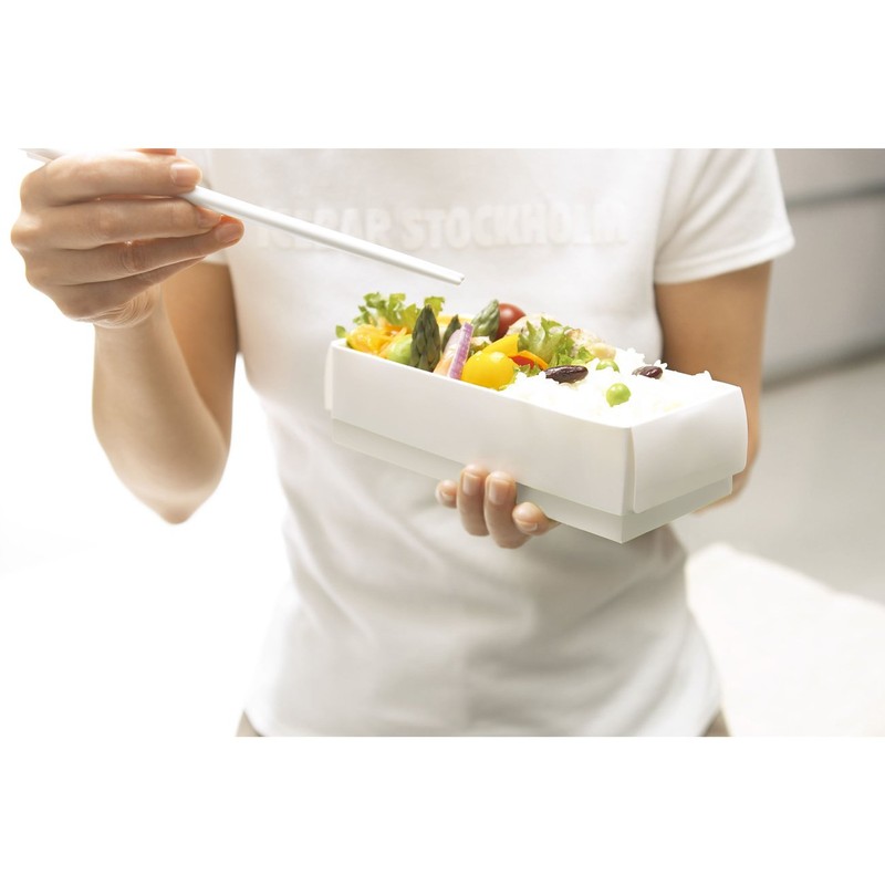 ホーショー 折りたためる フラットランチボックス Rサイズ ハッパ 「くり返し使える」 LB-018-RHP