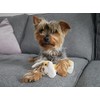 Rosewood Dog Natural Nippers Cuddle Plush, for All Breed Sizes