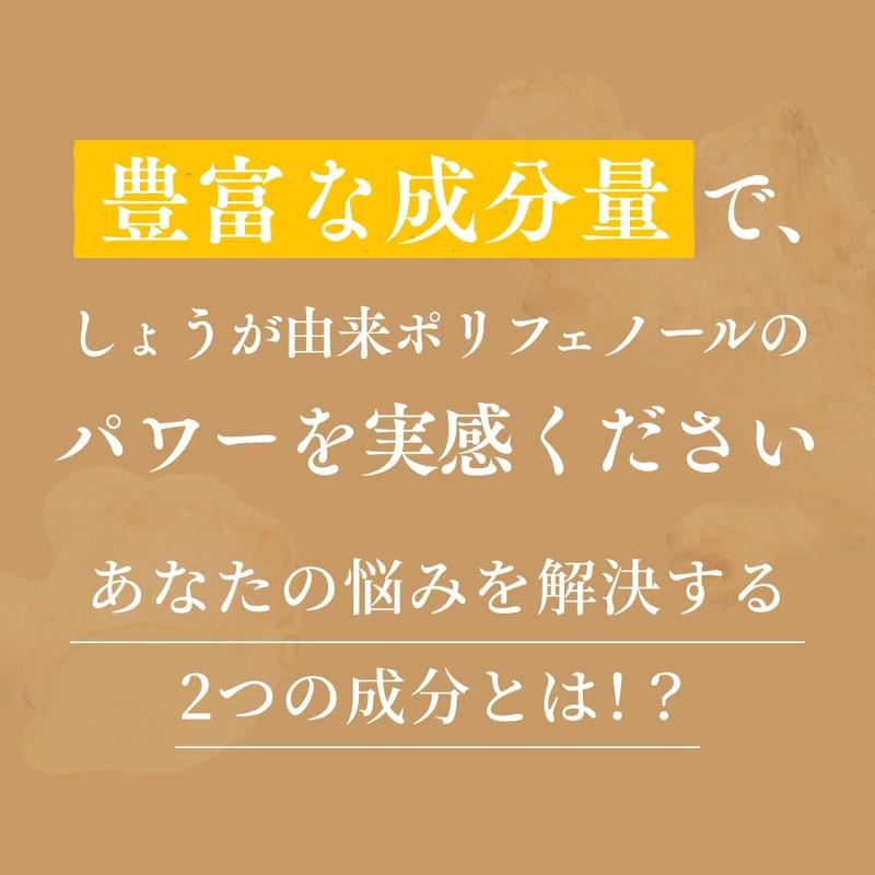 おひさましょうが しょうがカプセル 国産生姜使用 62粒入り サプリメント カプセルタイプ 約1か月分 抹消体温対策 冷え性対策 温活
