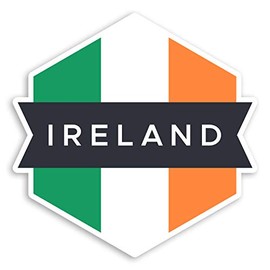 2 x 10cm Irish Flag Vinyl Stickers - Ireland Travel Fun Luggage Sticker #30991 (10cm Tall)