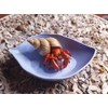 Hermit Crab Food and Water Dish Set, Leaf-Shaped Bowls, 5-Piece,