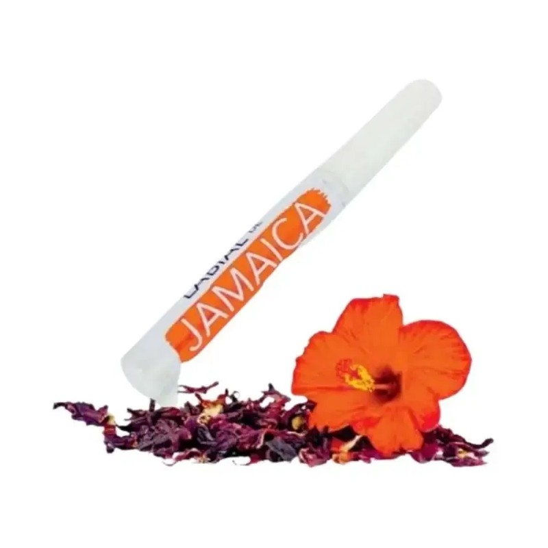 Karol Cosmetics Labial De Jamaica Cosmetico Vegetal