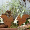 Flower Bed Stakes, Rust Decoration, Squirrel, Set of 2, Garden